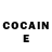 Cocaine FishScale lucineide silva